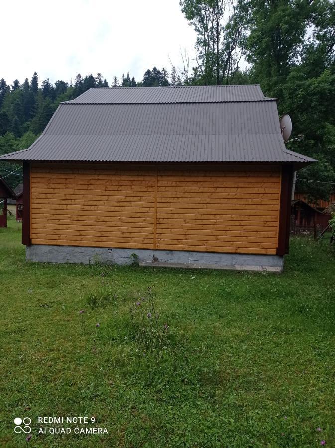 Садиба Брусний Mykulychyn Esterno foto